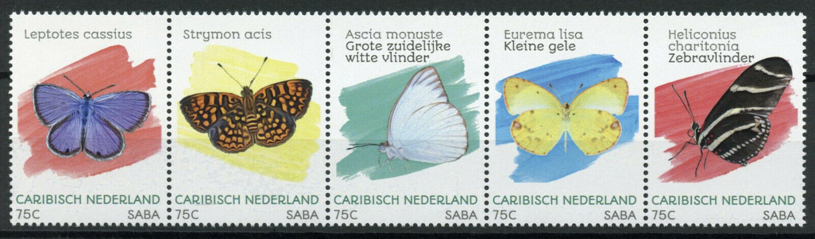 Saba Caribbean Netherlands Butterflies Stamps 2020 MNH Butterfly 5v Strip