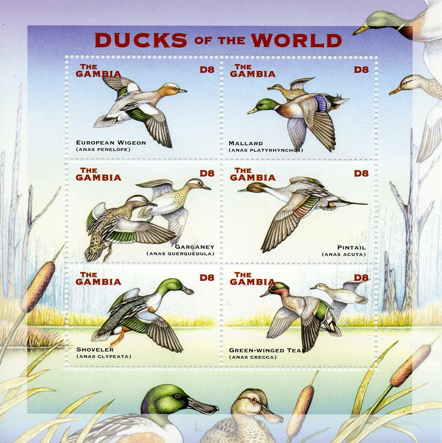 Gambia 2002 MNH Birds on Stamps Ducks of World Teal Wigeon Mallard 6v M/S VI