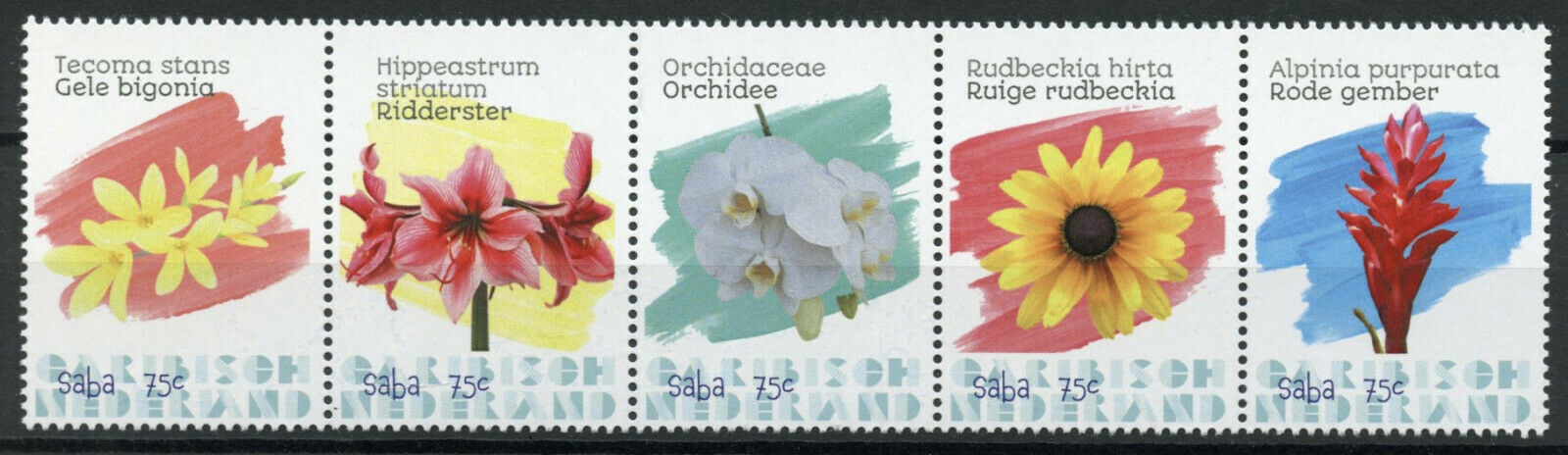 Saba Caribbean Netherlands Flowers Stamps 2020 MNH Orchids Flora Nature 5v Strip