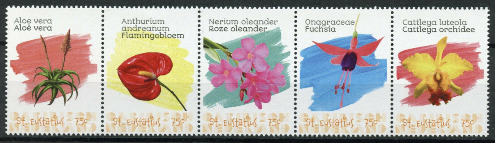 St Eustatius Caribbean Netherlands Flowers Stamps 2020 MNH Orchids Aloe 5v Strip