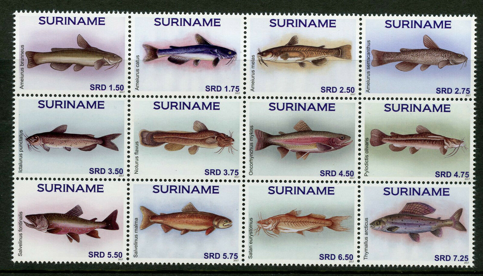 Suriname 2017 MNH Fish 12v Block Fishes Marine Stamps