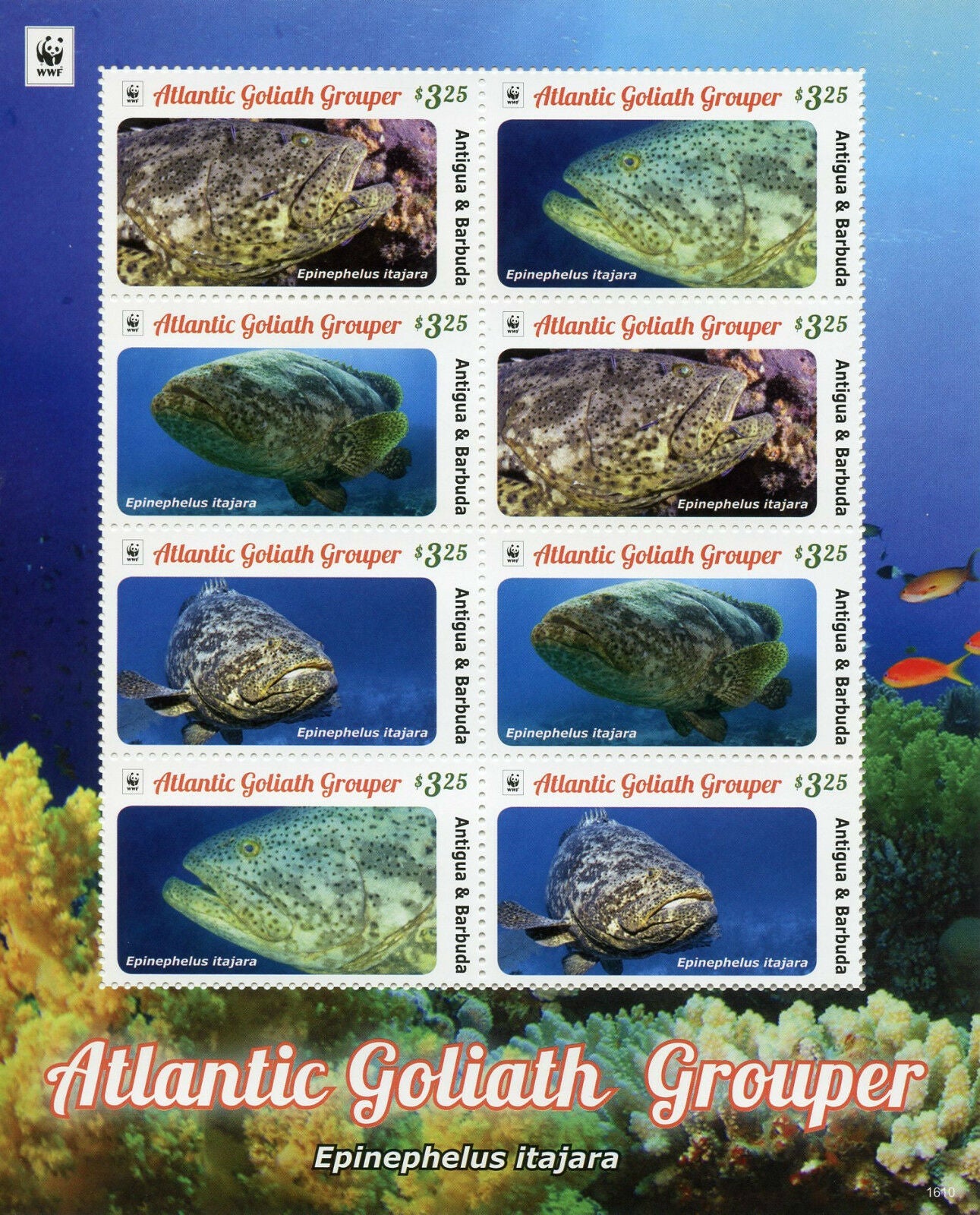 Antigua & Barbuda 2016 MNH Fish Stamps Atlantic Goliath Grouper WWF 8v M/S