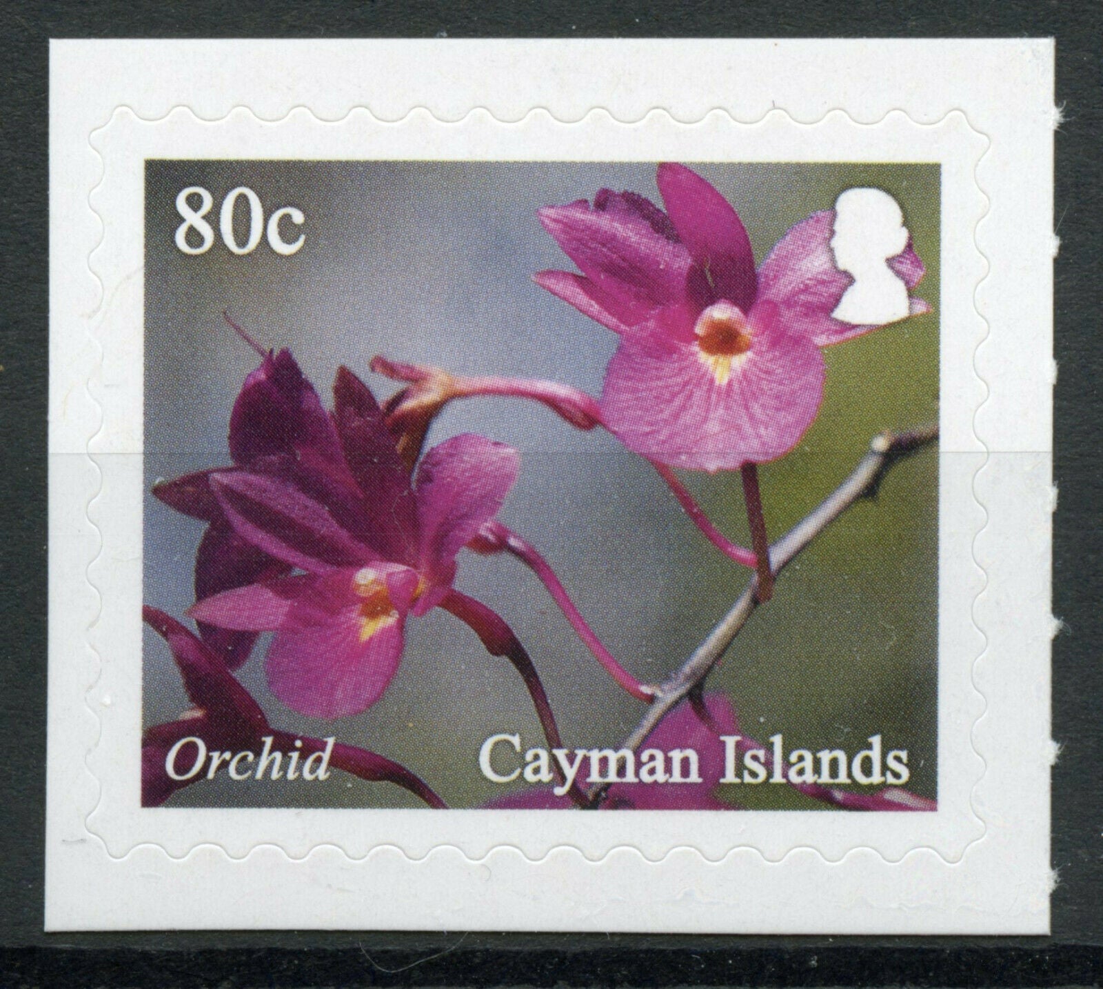 Cayman Islands 2020 MNH Flowers Stamps Queen Elizabeth II Botanic Park Orchids 1v S/A Set