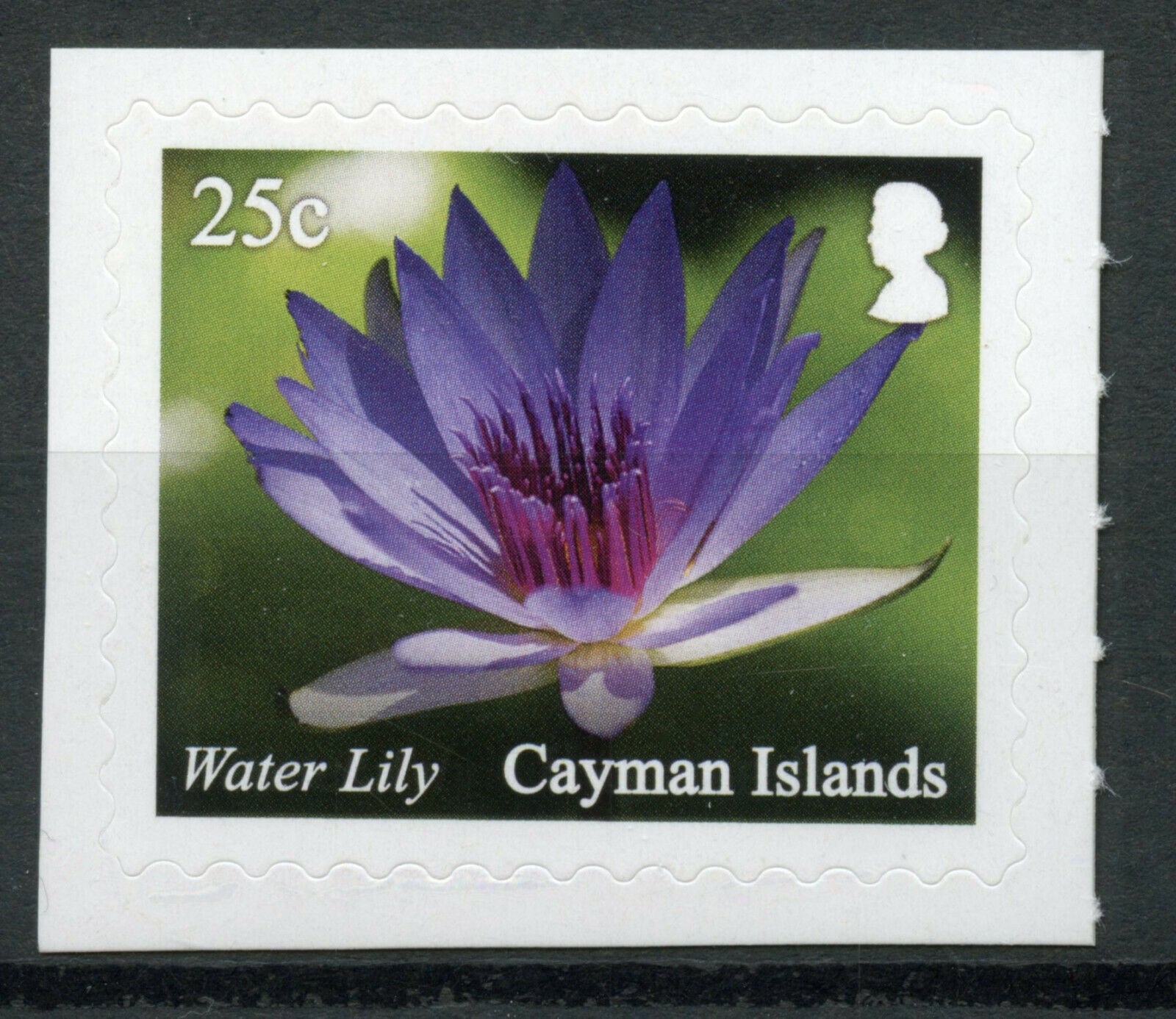 Cayman Islands 2020 MNH Flowers Stamps Queen Elizabeth II Botanic Park Water Lily 1v S/A Set