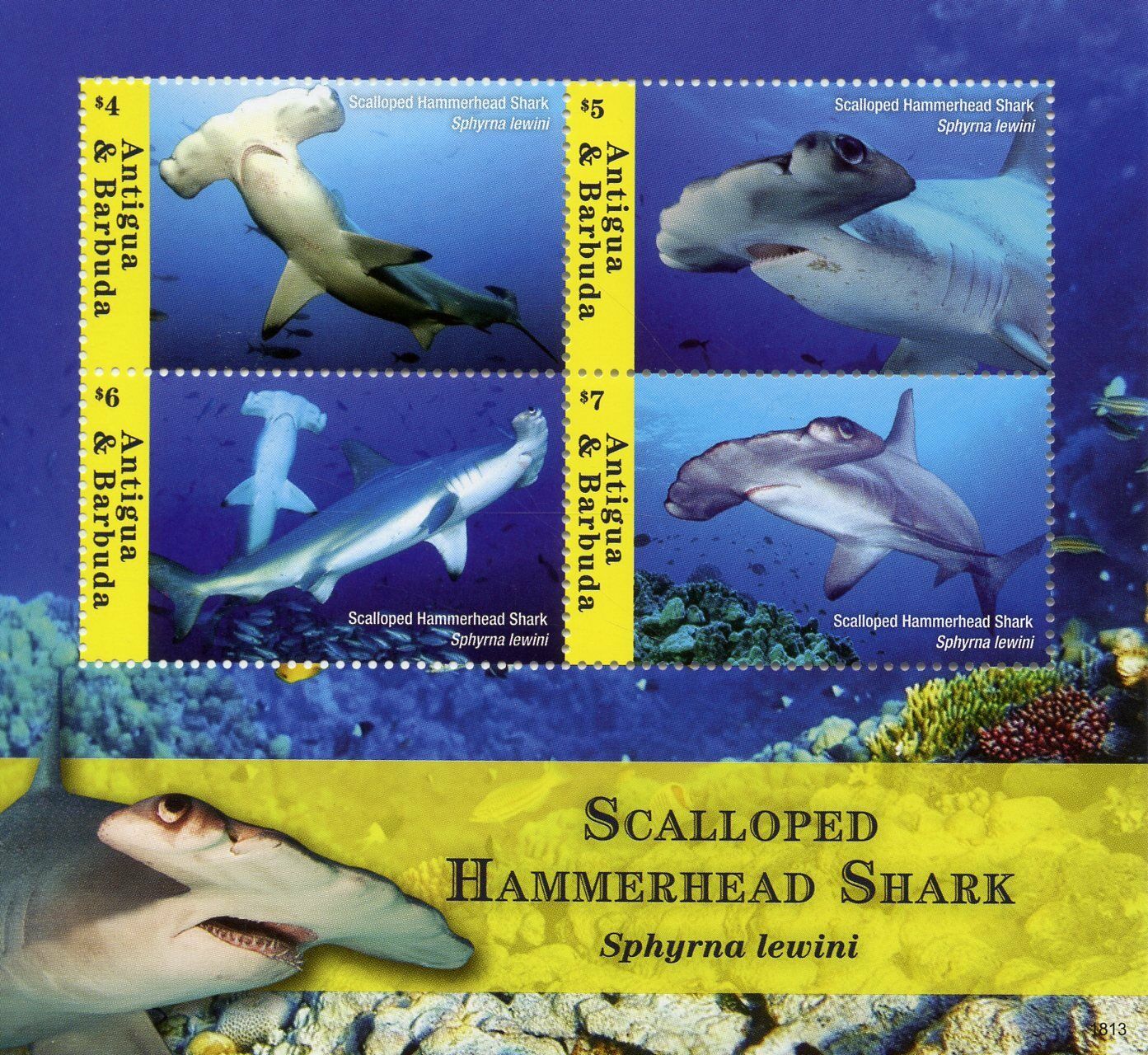 Antigua & Barbuda 2018 MNH Sharks Stamps Scalloped Hammerhead Shark 4v M/S