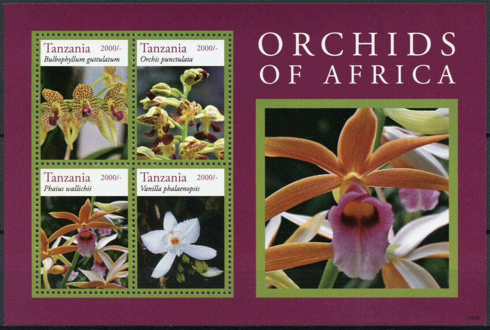 Tanzania Flowers Stamps 2014 MNH Orchids of Africa Bulbophyllum Nature 4v M/S II