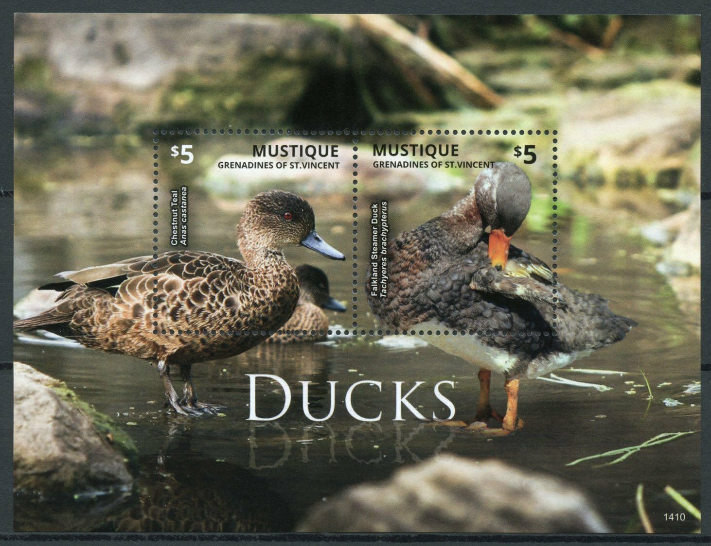 Mustique Gren St Vincent Birds on Stamps 2014 MNH Ducks Chestnut Teal 2v S/S II