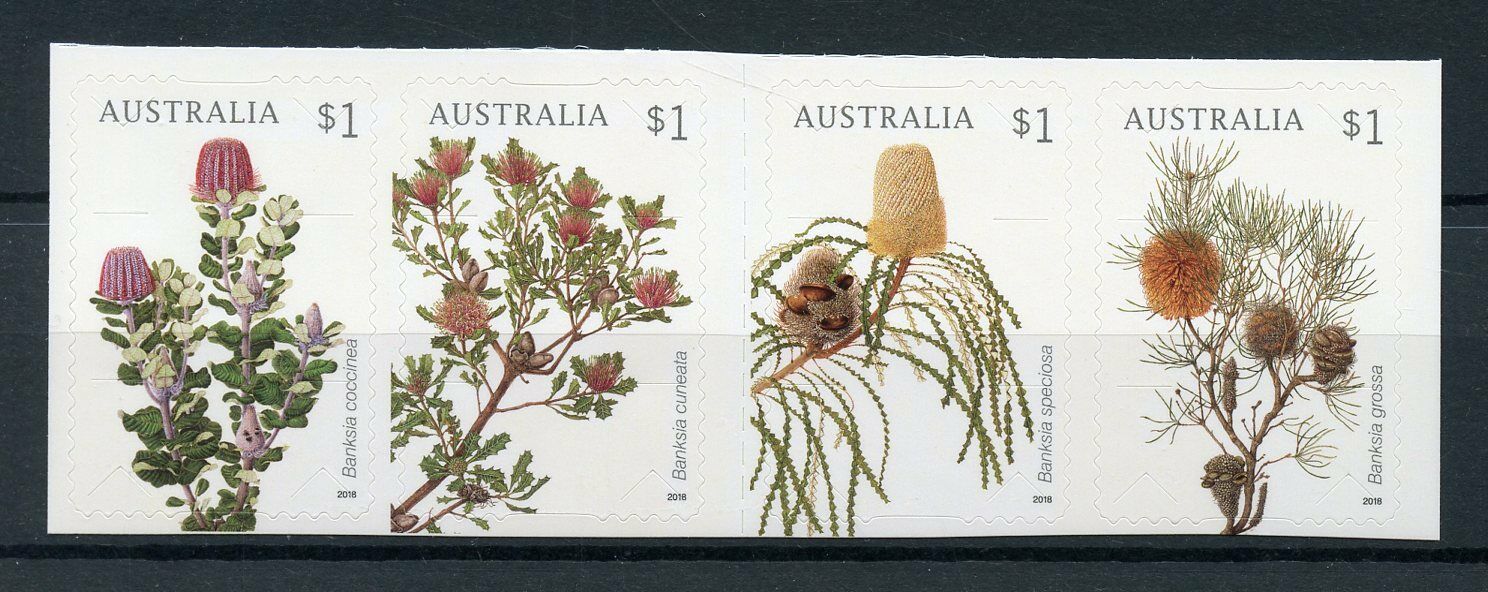 Australia 2018 MNH Banksias Evergreen 4v S/A Set Plants Flowers Nature Stamps