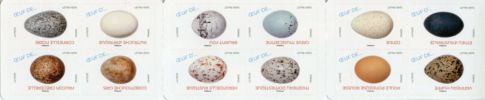 France Birds on Stamps 2020 MNH Bird Eggs Falcons Ostrich 12v S/A Booklet