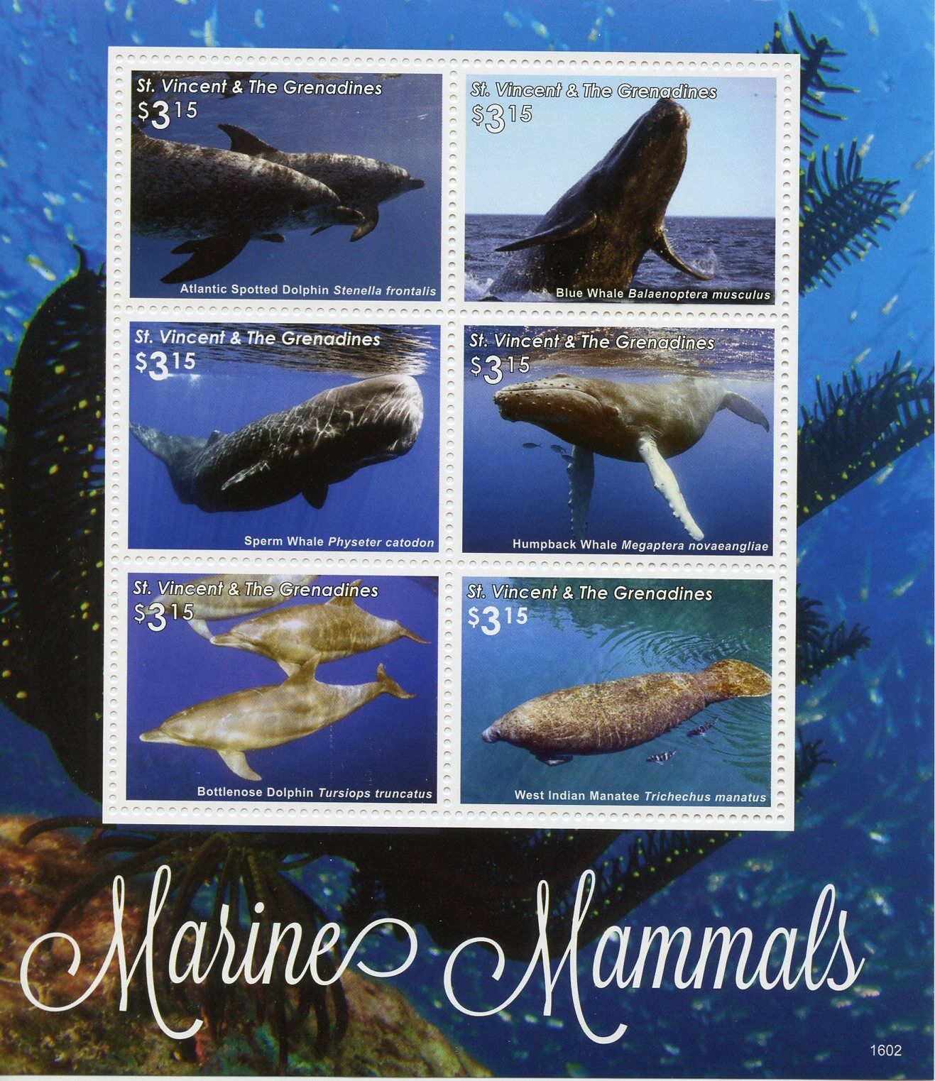 St Vincent & The Grenadines 2016 MNH Marine Mammals 6v M/S II Whales Dolphins