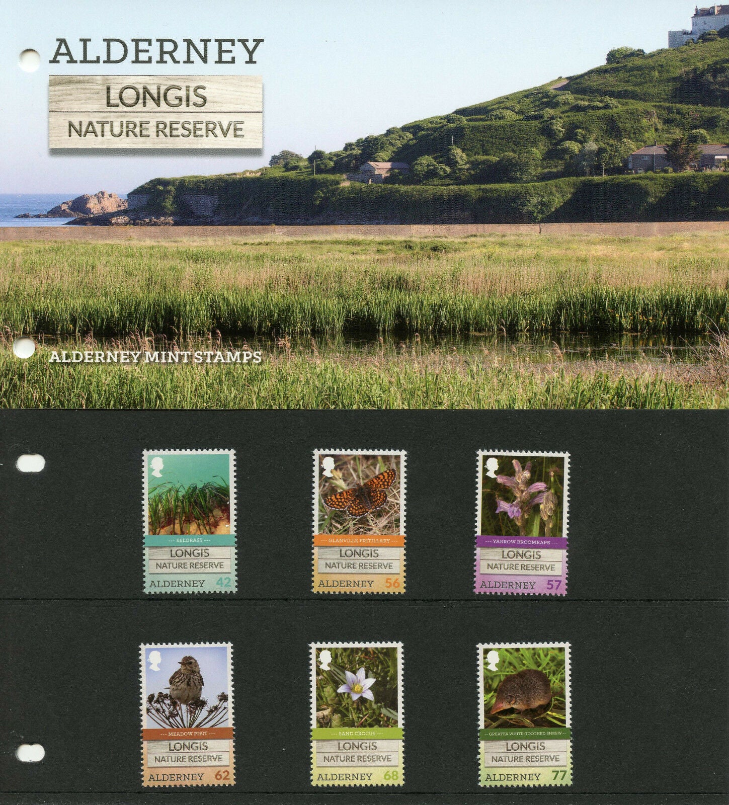 Alderney 2016 MNH Longis Nature Reserve 6v Set Presentation Pack Birds Flowers