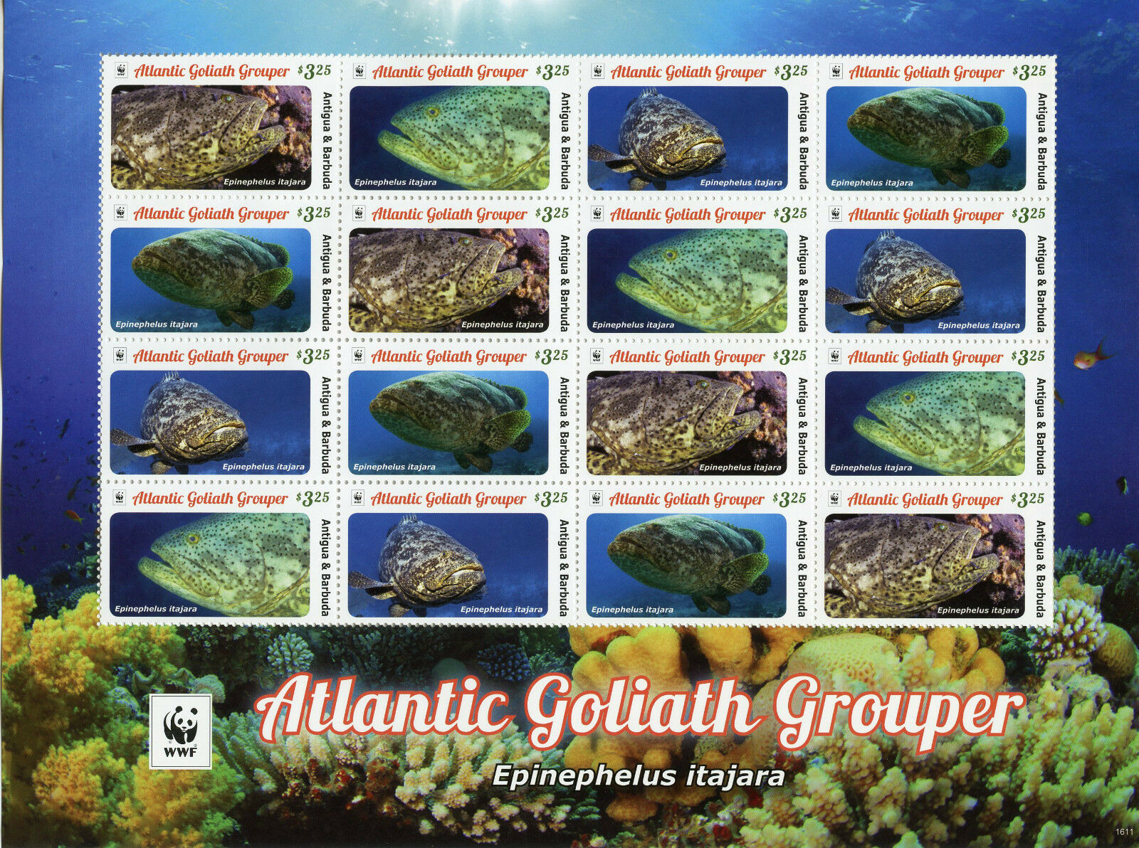 Antigua & Barbuda 2016 MNH Atlantic Goliath Grouper WWF 16v M/S Fish Stamps