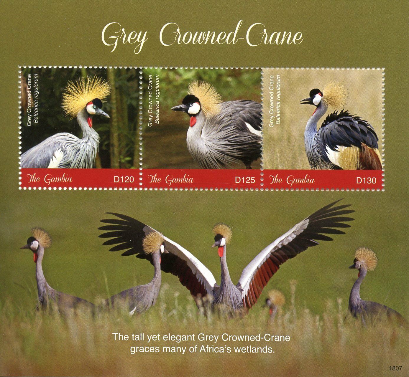Gambia 2018 MNH Birds on Stamps Grey Crowned Crane Cranes 3v M/S