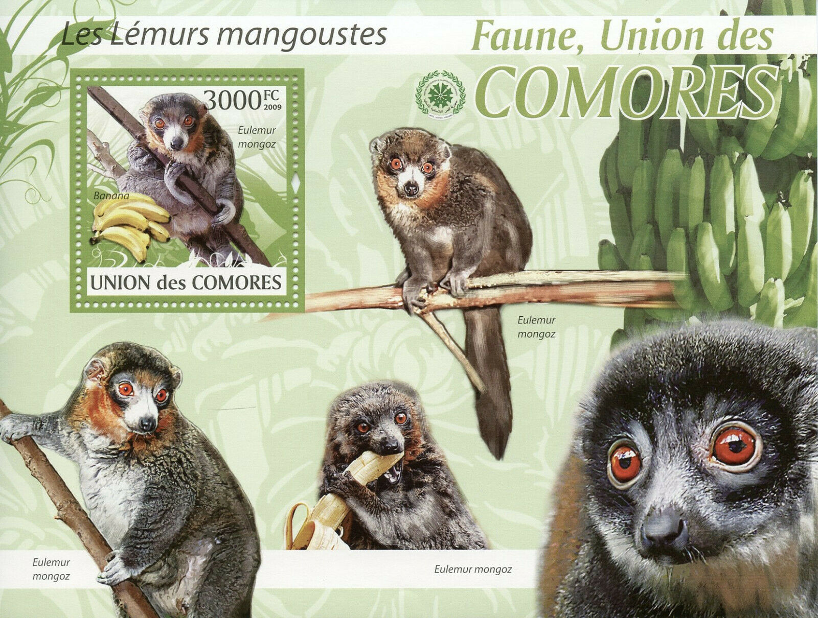 Comoros Wild Animals Stamps 2009 MNH Mongoose Lemurs Monkeys Fauna 1v S/S