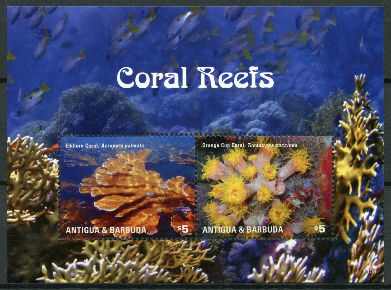 Antigua & Barbuda Marine Stamps 2014 MNH Coral Reefs Elkhorn Corals 2v S/S I