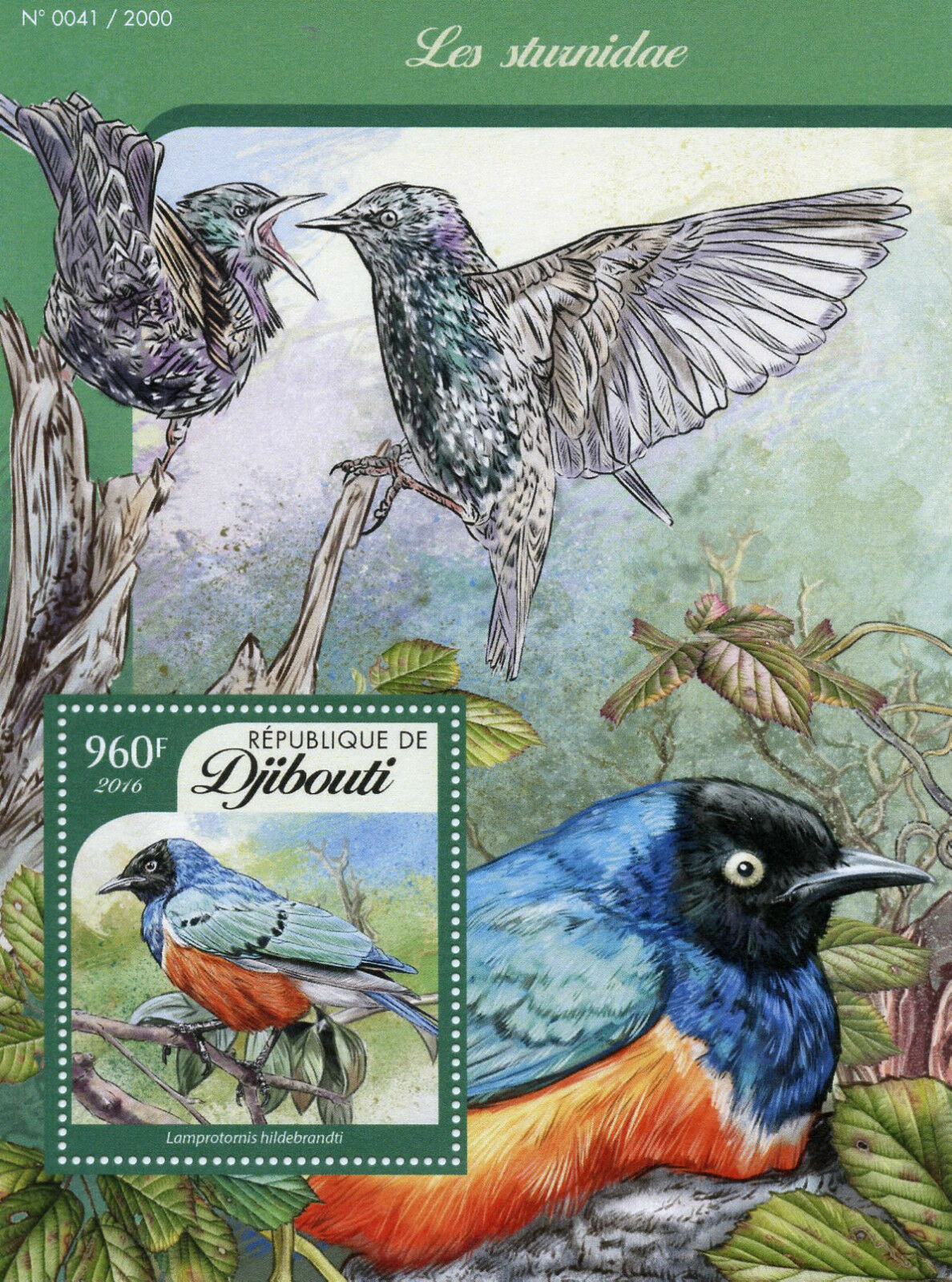 Djibouti 2016 MNH Birds Stamps Starlings Sturnidae Hildebrandt's Starling 1v S/S