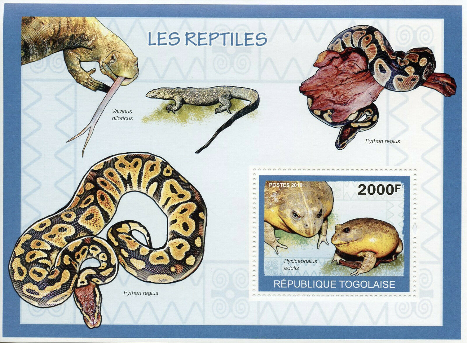 Togo Reptiles Stamps 2010 MNH Frogs Snakes Lizards Edible Bullfrog 1v S/S