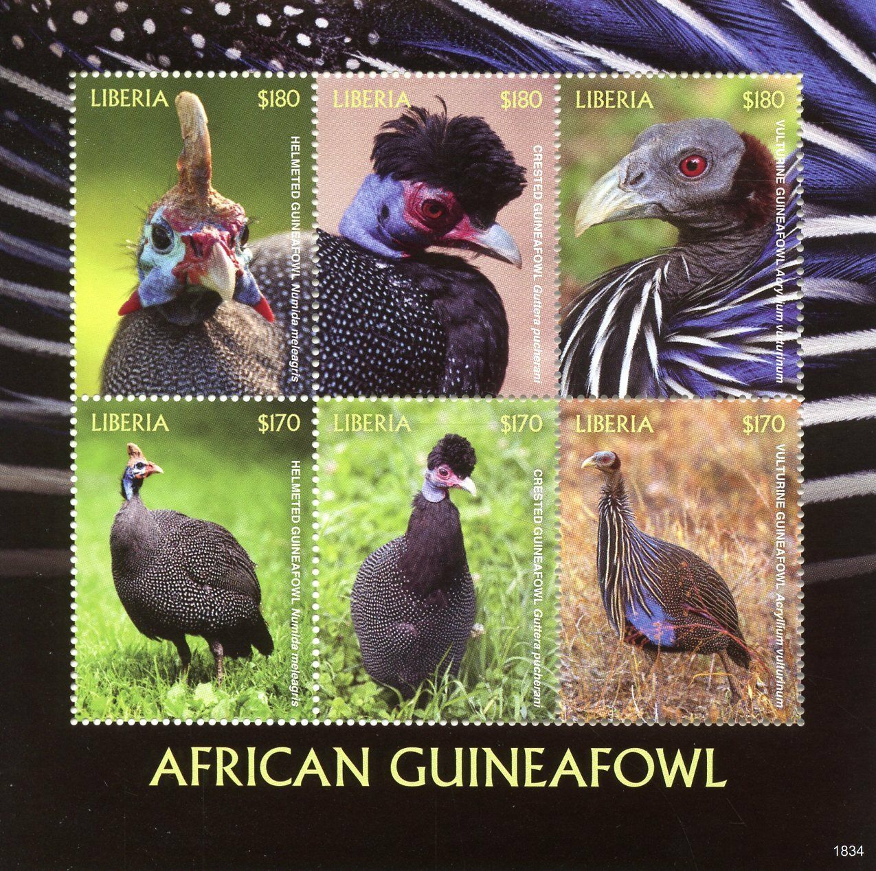 Liberia Birds on Stamps 2018 MNH African Crested Helmeted Guineafowl Fowl 6v M/S