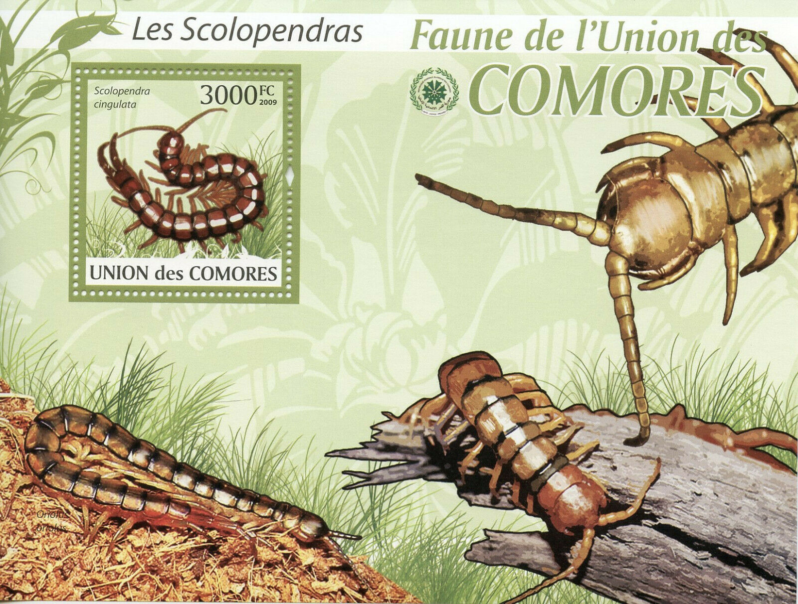 Comoros Insects Stamps 2009 MNH Centipedes Scolopendra 1v S/S