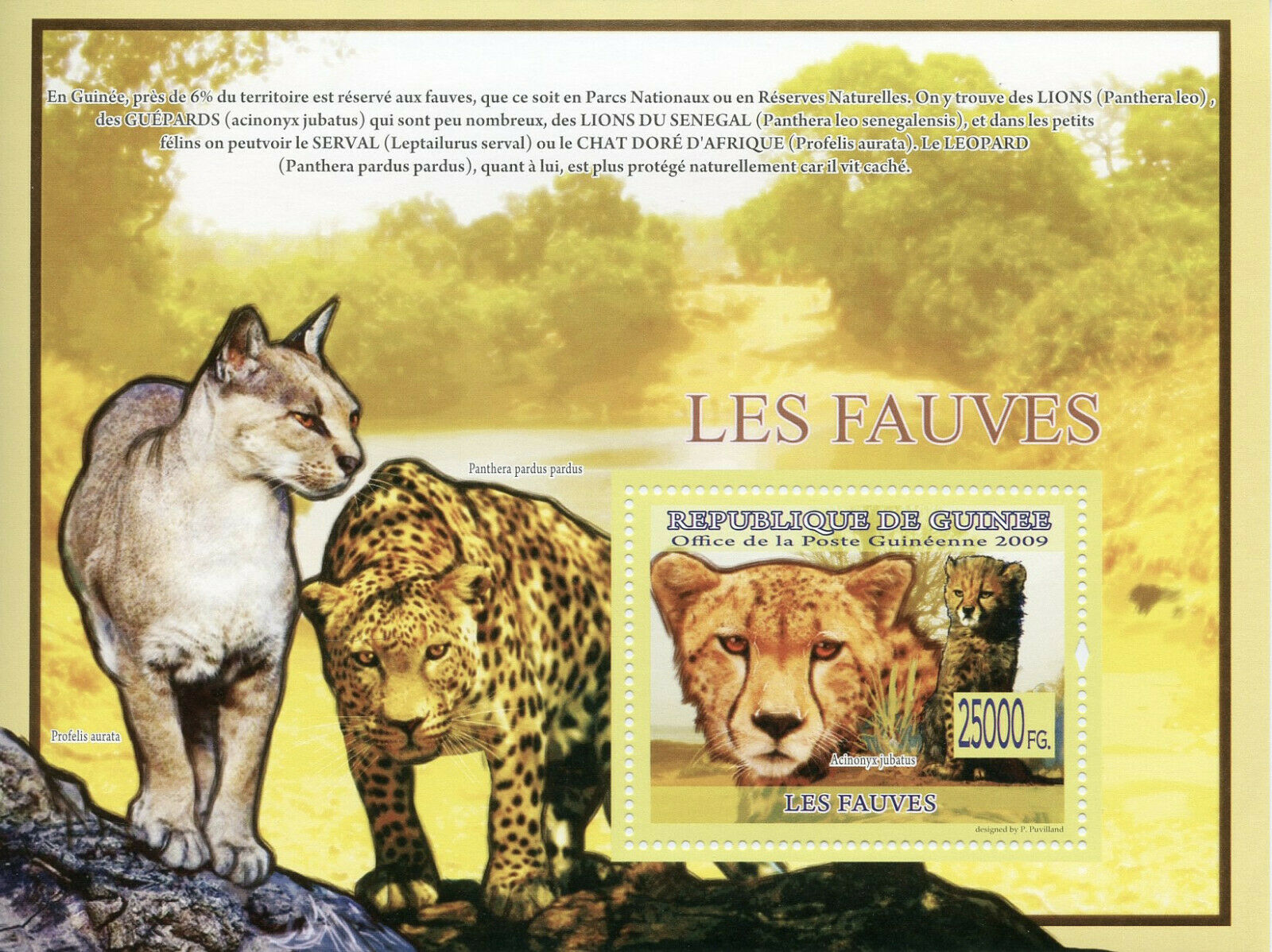 Guinea Wild Animals Stamps 2009 MNH Big Cats Cheetahs Lions Leopards 1v S/S