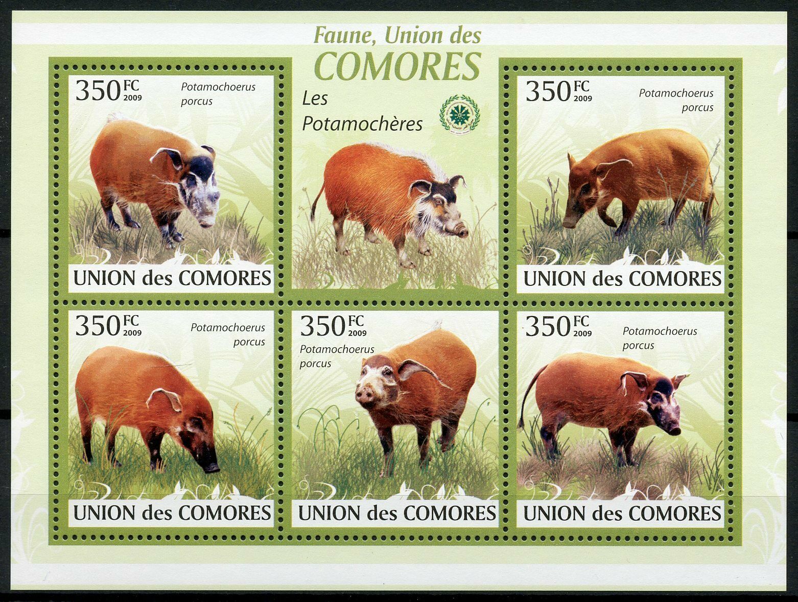 Comoros Wild Animals Stamps 2009 MNH Red River Hogs Bush Pigs Fauna 5v M/S