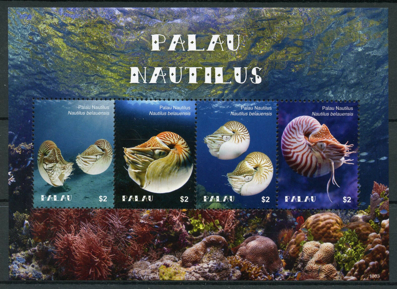 Palau Marine Animals Stamps 2018 MNH Palau Nautilus Corals Molluscs 4v M/S