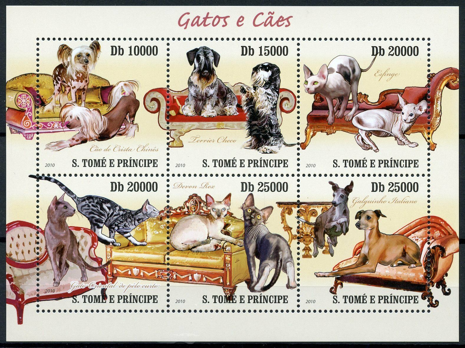 Sao Tome & Principe Cats & Dogs Stamps 2010 MNH Cesky Terrier Devon Rex 6v M/S