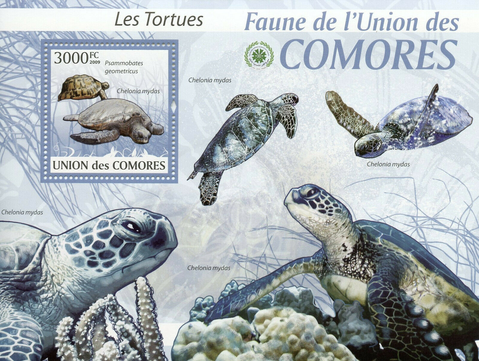 Comoros Turtles Stamps 2009 MNH Green Sea Turtle Fauna Reptiles 1v S/S