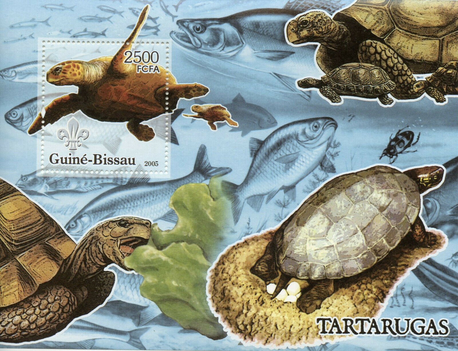 Guinea-Bissau Turtles Stamps 2005 MNH Turtle Reptiles Fauna 1v S/S