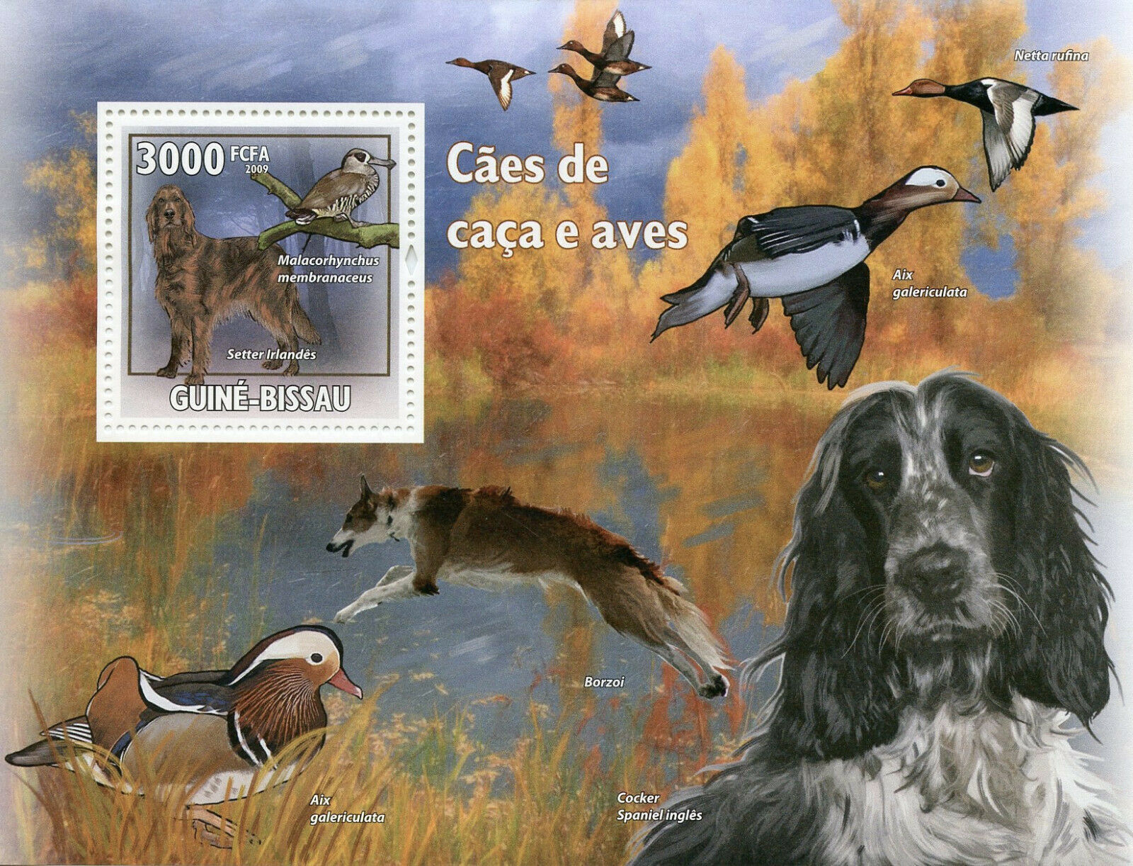 Guinea-Bissau Hunting Dogs & Birds on Stamps 2009 MNH Ducks Irish Setter 1v S/S