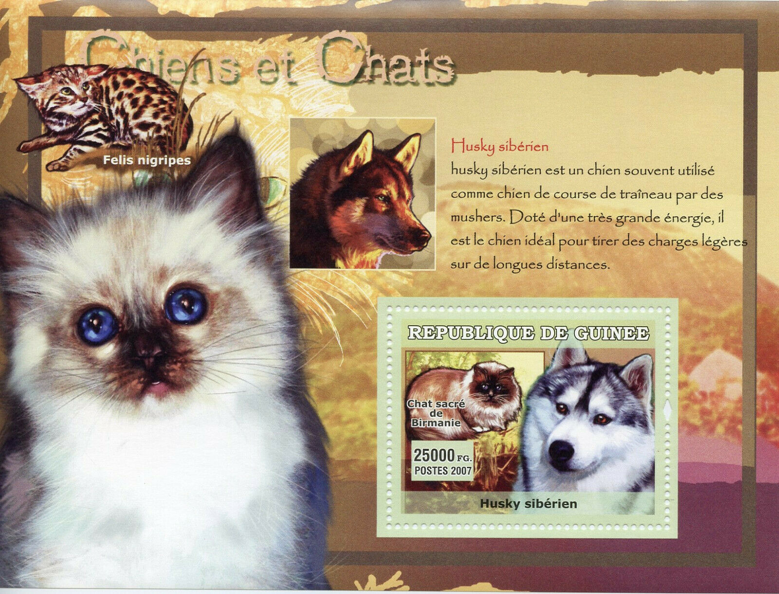 Guinea Cats & Dogs Stamps 2007 MNH Siberian Husky Birman Animals 1v S/S III