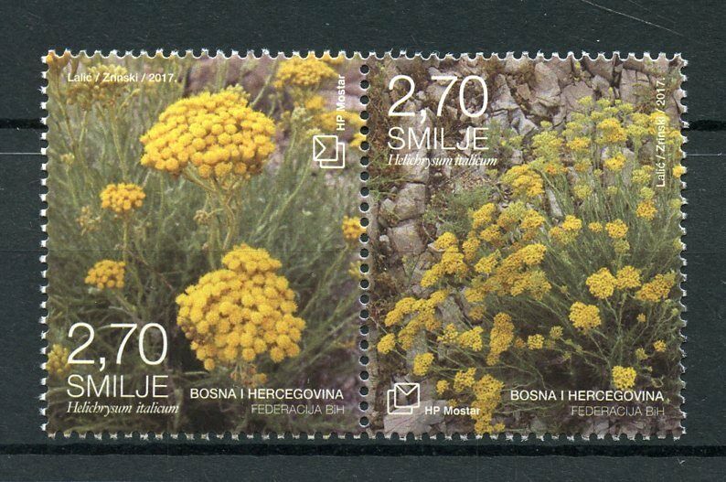 Bosnia & Herzegovina 2017 MNH Flora Helychrisum 2v Set Plants Flowers Stamps