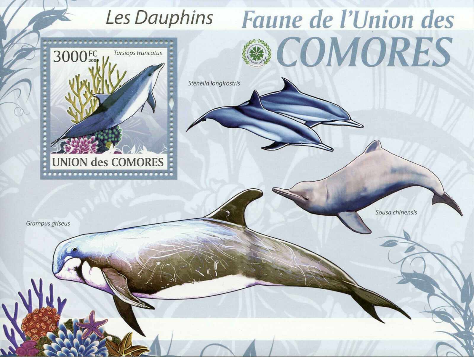 Comoros Dolphins Stamps 2009 MNH Dolphin Marine Animals Mammals Fauna 1v S/S