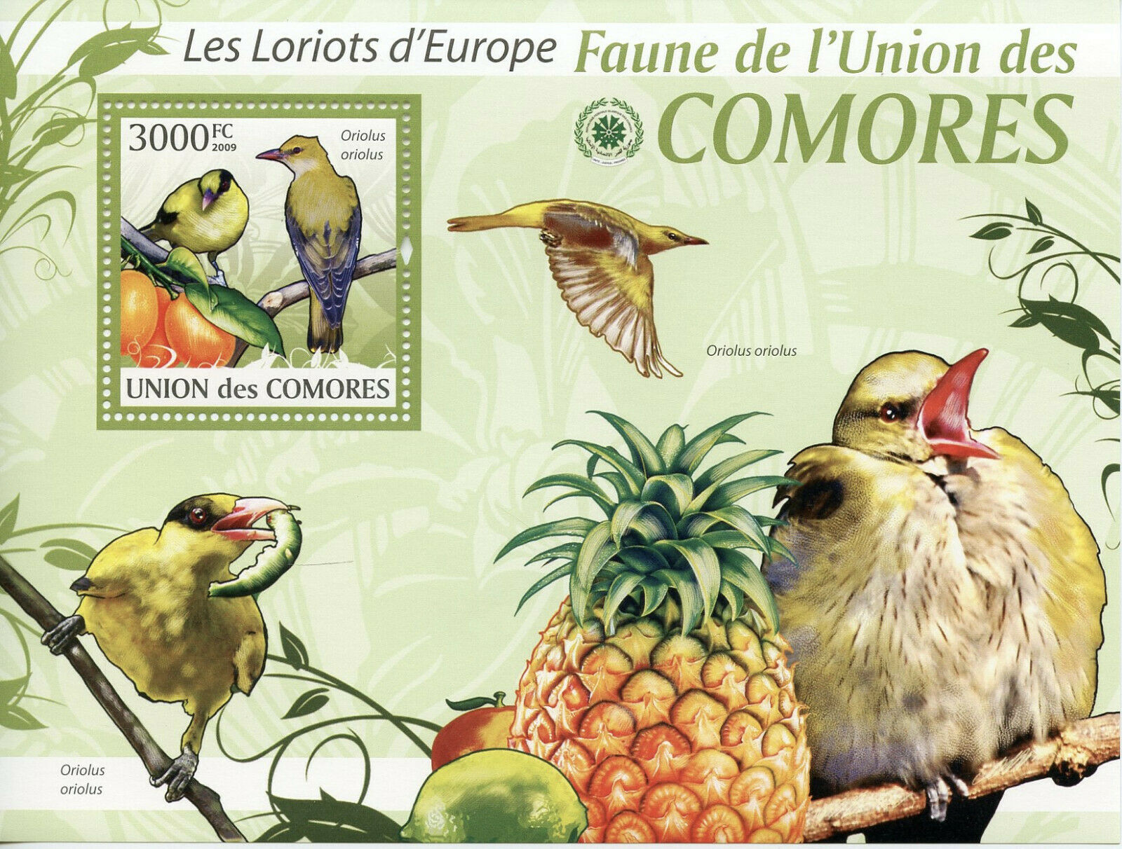 Comoros Birds on Stamps 2009 MNH Orioles Fruits Fauna Nature 1v S/S