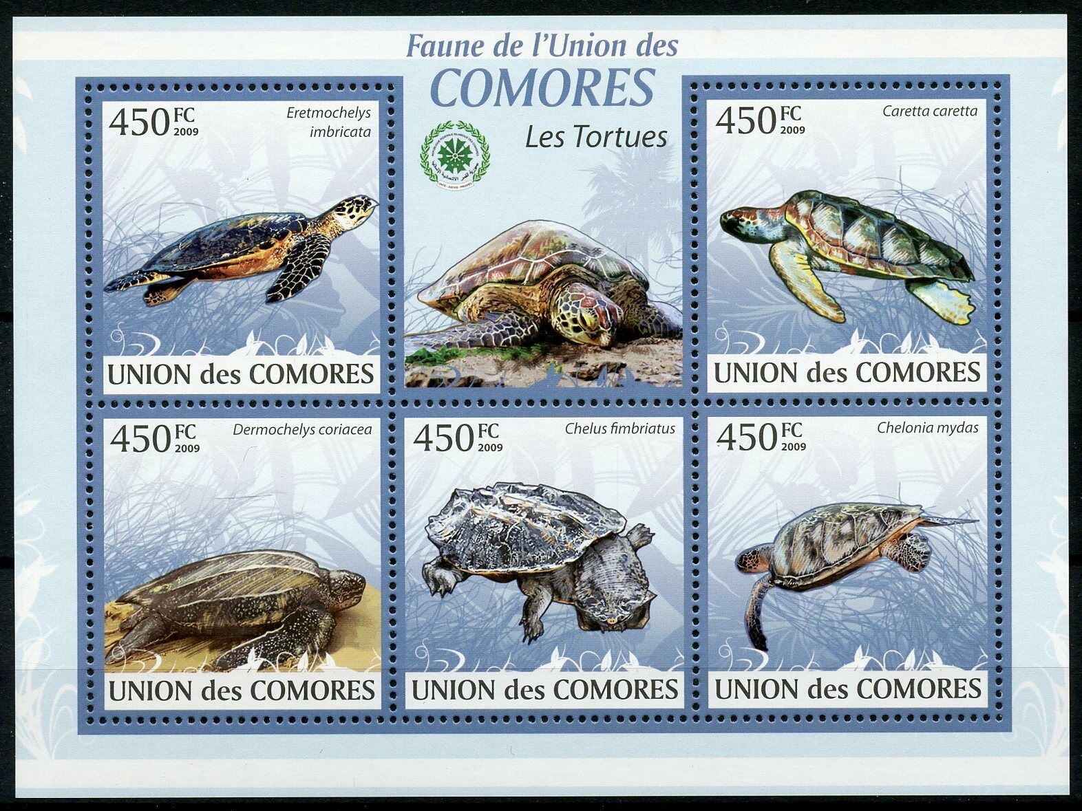 Comoros Turtles Stamps 2009 MNH Loggerhead Green Sea Turtle Fauna 5v M/S