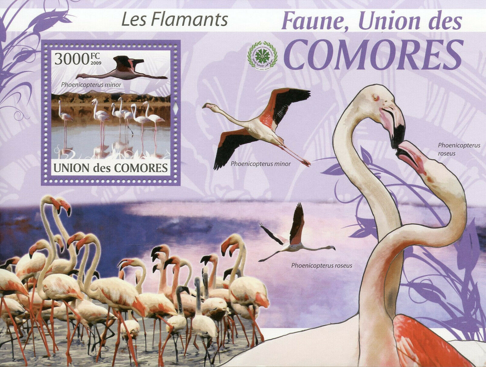 Comoros Birds on Stamps 2009 MNH Flamingo Flamingos Fauna 1v S/S