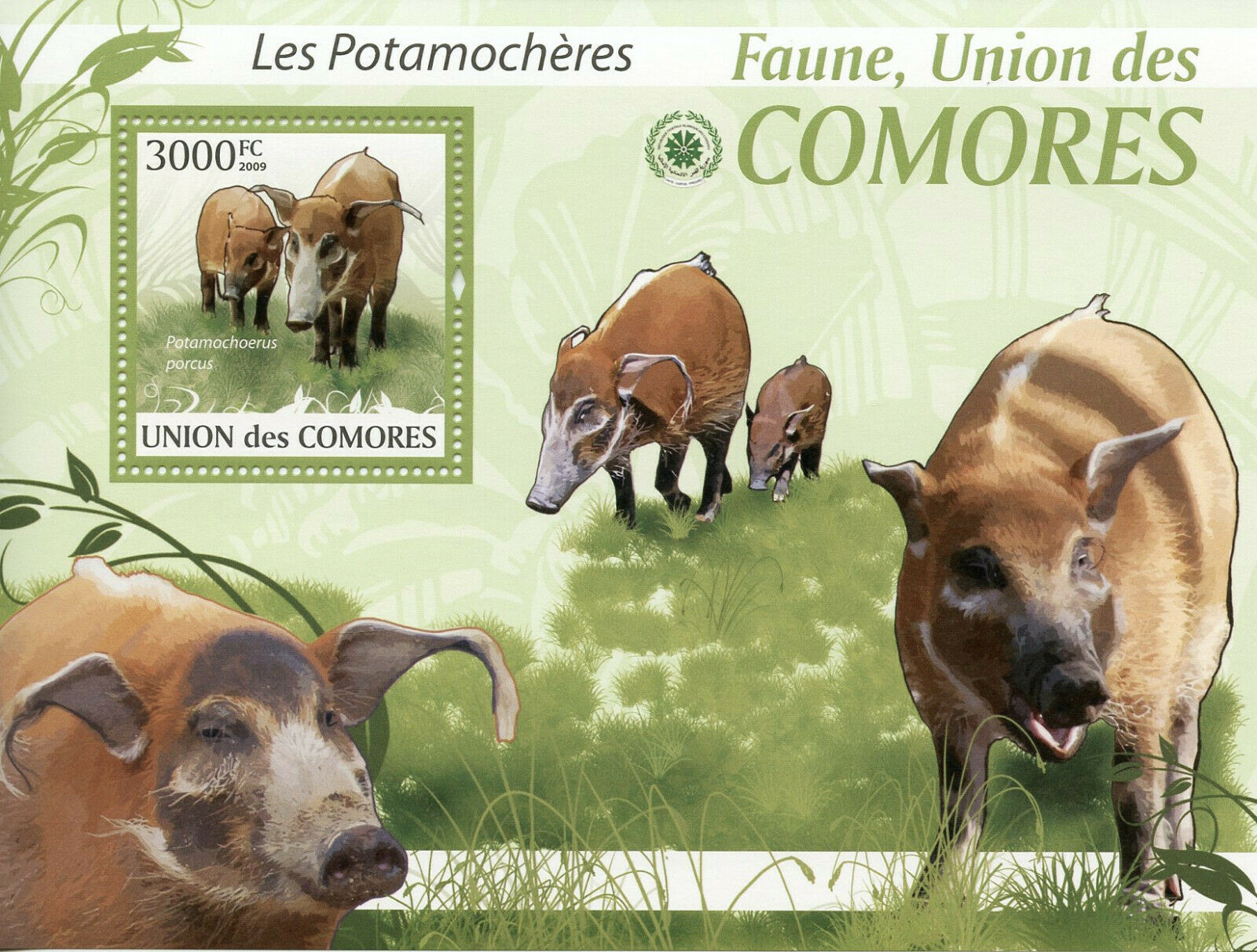 Comoros Wild Animals Stamps 2009 MNH Red River Hogs Bush Pigs Fauna 1v S/S