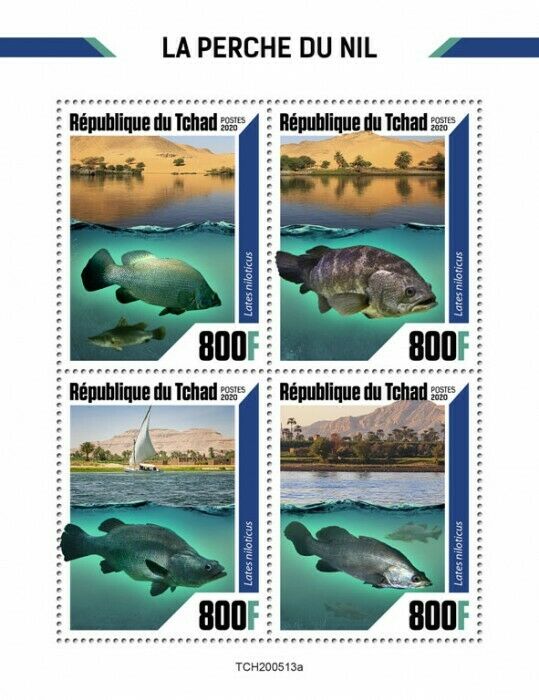 Chad Fish Stamps 2020 MNH Nile Perch Fishes Fauna 4v M/S