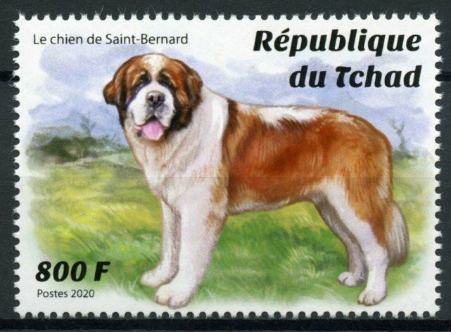 Chad Dogs Stamps 2020 MNH St Saint Bernard Dog Breeds Domestic Animals 1v Set