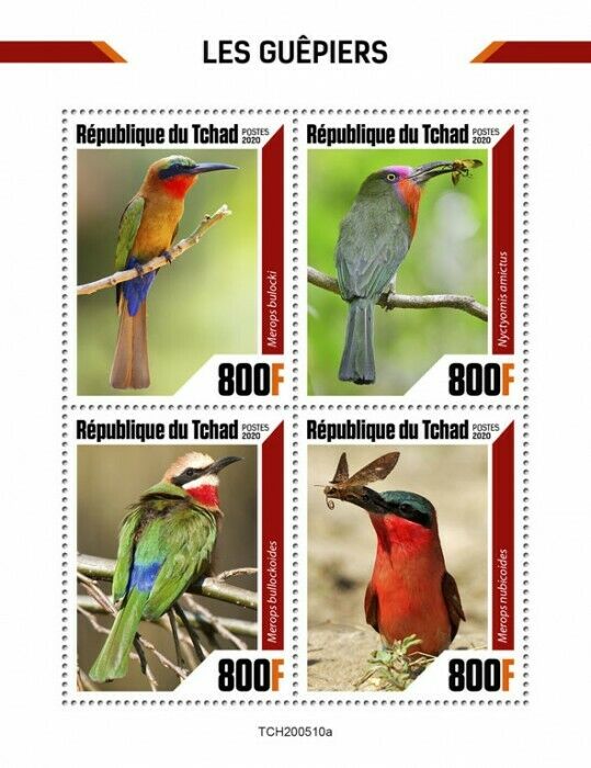Chad Birds on Stamps 2020 MNH Bee-Eaters Red-Bearded Bee-Eater 4v M/S