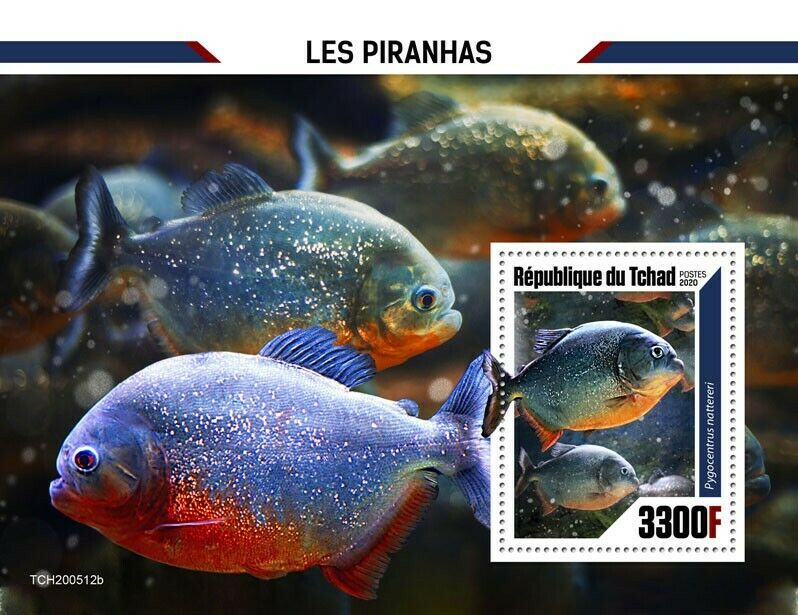 Chad 2020 MNH Fish Stamps Piranhas Red-Bellied Piranha Fishes 1v S/S