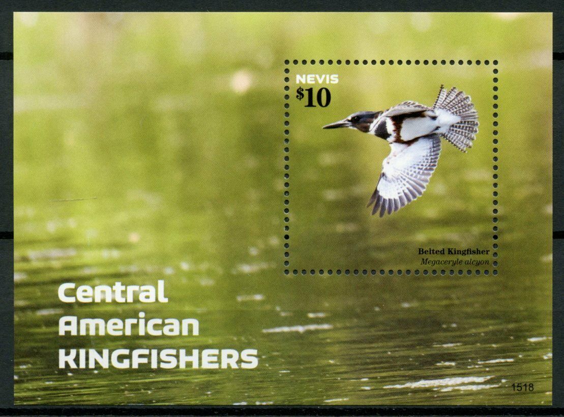 Nevis Birds on Stamps 2015 MNH Central American Kingfishers Kingfisher 1v S/S