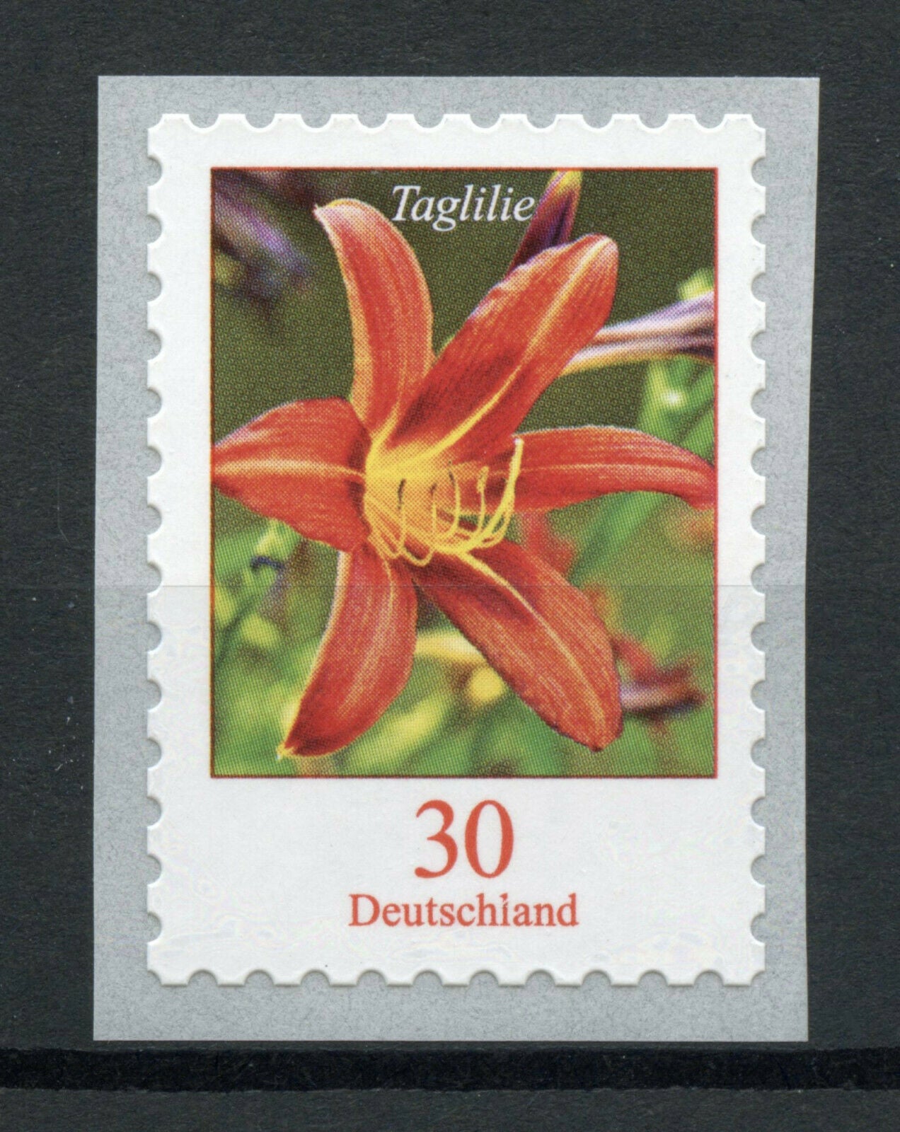 Germany Flowers Stamps 2020 MNH Definitives Orange Tiger Day-Lily 1v S/A Set