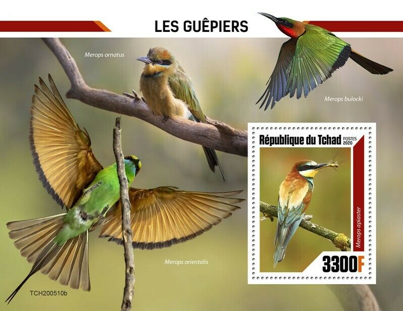 Chad Birds on Stamps 2020 MNH Bee-Eaters European Bee-Eater 1v S/S