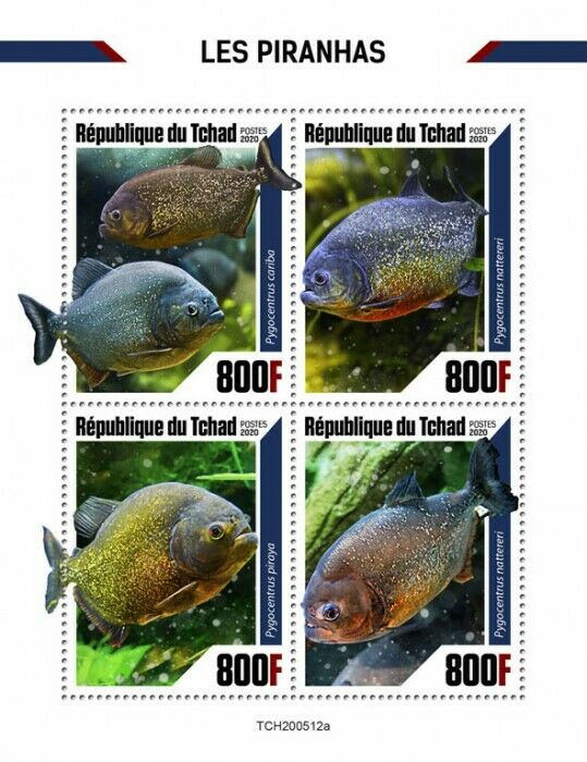 Chad Fish Stamps 2020 MNH Piranhas Piraya Piranha Fishes 4v M/S