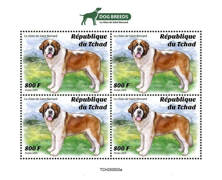 Chad 2020 MNH Dogs Stamps St Saint Bernard Dog Breeds Domestic Animals 4v M/S