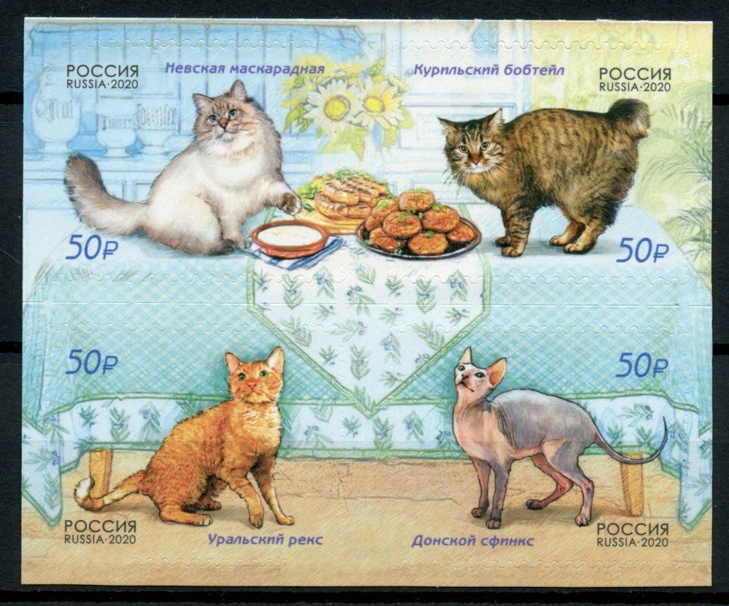 Russia Cats Stamps 2020 MNH Domestic Animals Pets 4v S/A Block
