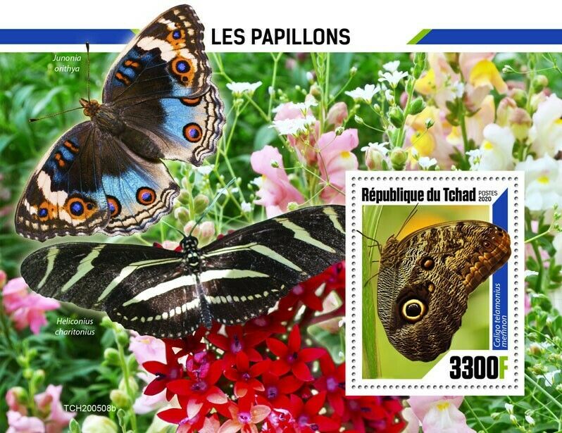 Chad Butterflies Stamps 2020 MNH Giant Owl Junonia Butterfly Insects 1v S/S