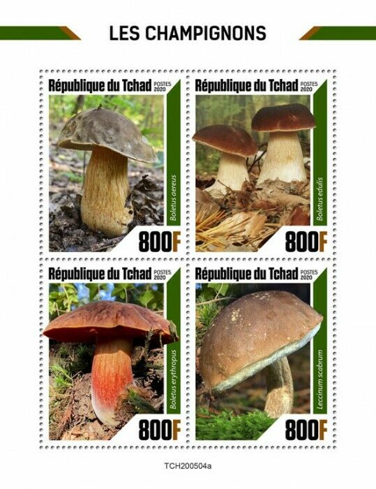Chad Mushrooms Stamps 2020 MNH Fungi Boletus Leccinum Nature 4v M/S