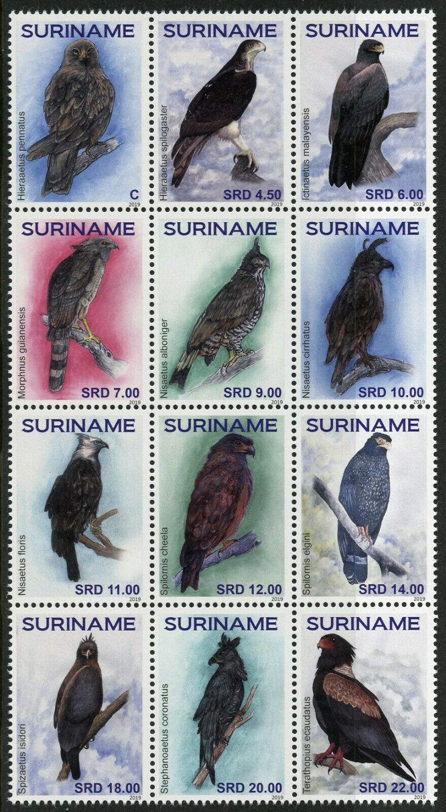 Suriname 2019 MNH Eagles Eagle 12v Block Birds of Prey Stamps